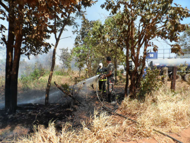  Usina de Costa Rica &eacute; multada em R$ 378 mil por provocar inc&ecirc;ndio ilegal