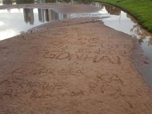 Para lago n&atilde;o morrer como outros, grupo convoca &#039;abra&ccedil;&atilde;o&#039; em parque