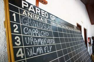Na tabela, com nomes comuns do meio, as atrações da corrida de cavalos (Foto: Marcos Ermínio)