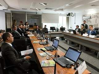 Audiência Pública que discutiu situação de Bonito no Senado (Foto: Roque de Sá/Agência Senado)