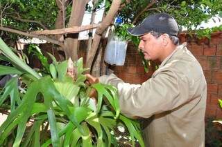 Agente de saúde em trabalho de limpeza, para combate à dengue. (Foto: Luciano Muta)