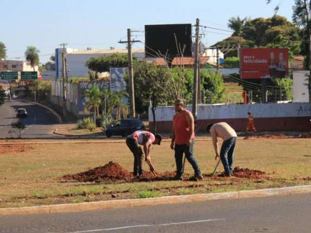 Servi&ccedil;os avan&ccedil;am para instala&ccedil;&atilde;o de sem&aacute;foros em rotat&oacute;ria movimentada