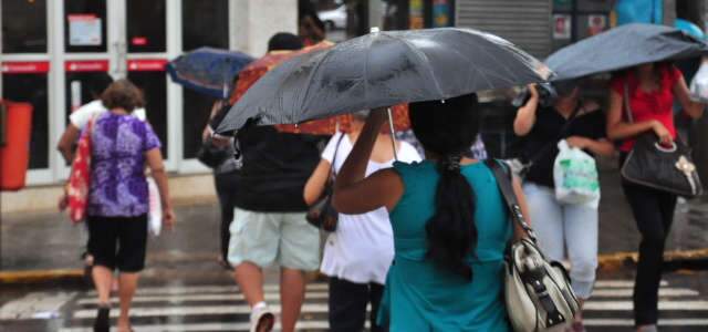  Chuva destelha casas e derruba 5 &aacute;rvores