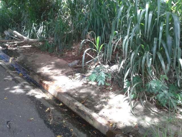 Sem obra de canaliza&ccedil;&atilde;o, &aacute;gua &quot;brota&quot; das cal&ccedil;adas no Monte Castelo