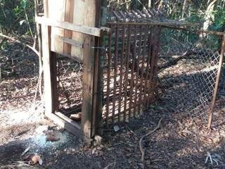 Uma das armadilhas usadas para caça de animais em fazenda em Nova Andradina (Foto: Divulgação)