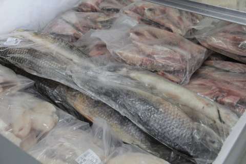 Para incentivar consumo, peixes estão até 20% mais baratos em mercados