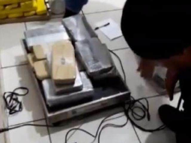 PM apreende 19,2 quilos de coca&iacute;na pura em &ocirc;nibus com destino a GO