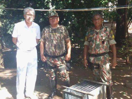 Macaco leva choque, ganha aten&ccedil;&atilde;o de m&eacute;dico volunt&aacute;rio e volta para mata