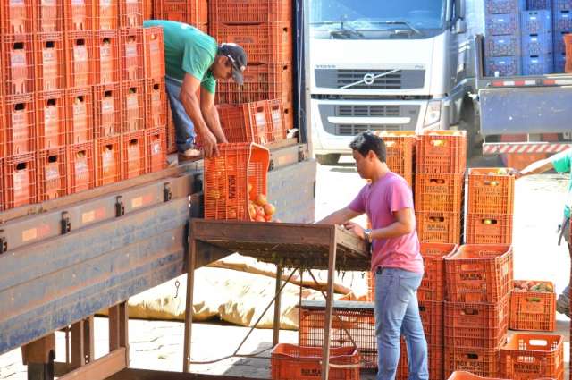 MPF recomenda monitoramento de agrot&oacute;xicos em produtos da Ceasa