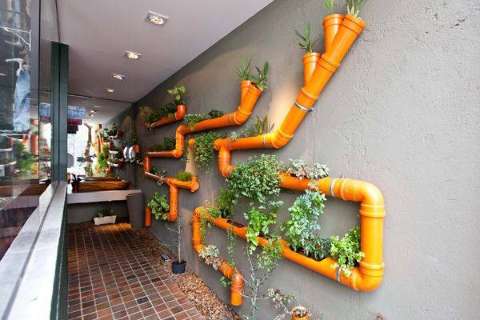 Em canos de PVC, horta orgânica feita de jeito fácil pode ocupar um cantinho 
