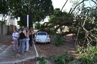 Veículo ficou totalmente destruído após ser atingido por árvore na Vila Célia (Foto: Alessandro Martins)