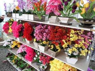 Dar flores à mulher são tradição na família e em estabelecimentos comerciais  (Foto: Divulgação/ Procon-MS)