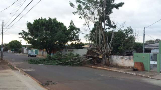 Vendaval deixou 25 mil im&oacute;veis sem luz e reparos continuam sendo feitos