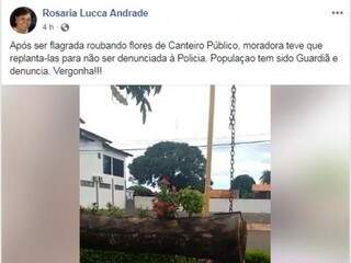 Vice-prefeita repreendeu moradora que havia roubado flores no canteiro central da cidade (Foto: Rede Social)