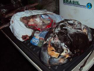 Carne foi encontrada em freezer de fazenda. (Foto: PMA)