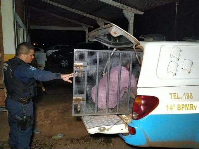 Homem contratado em MG para buscar carga de droga na fronteira &eacute; preso