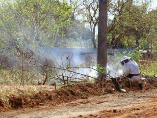 Bombeiro usa fumaça para acalmar abelhas após ataque na CoophaVilla II, neste mês. (Foto: André Bittar)