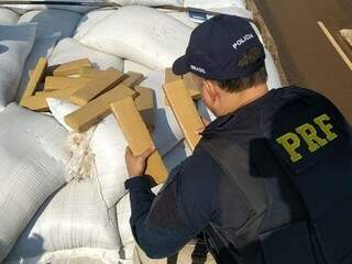 Policial rodoviário federal retira tabletes de maconha de carga de canola, hoje em Ponta Porã (Foto: Adilson Domingos)