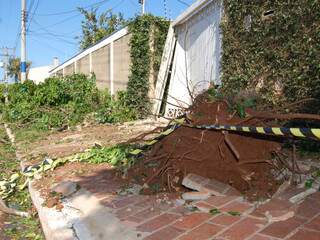 Audi derrubou árvore e danificou portão e cerca elétrica. (Foto: Simão Nogueira)