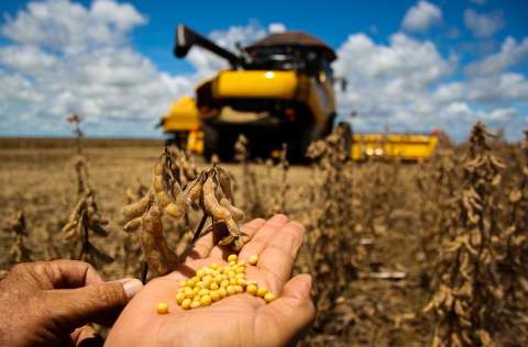 MS conclui colheita de soja com 49 sacas por hectare, novo recorde