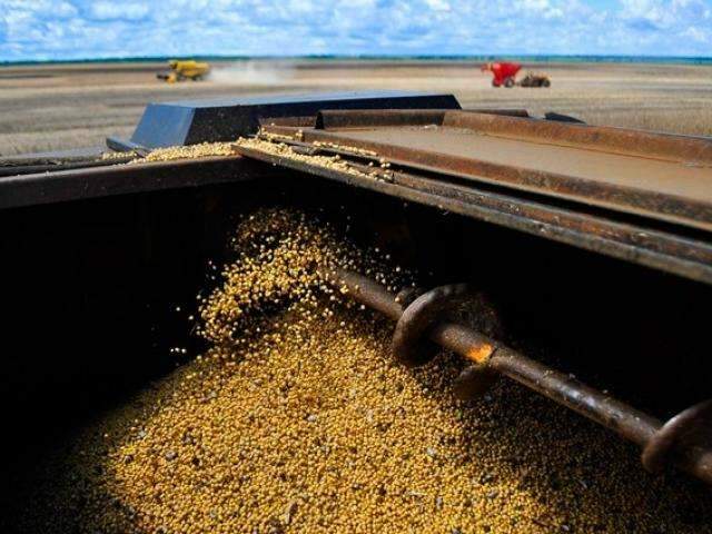 Incertezas no cen&aacute;rio econ&ocirc;mico derrubam pre&ccedil;o da soja em MS