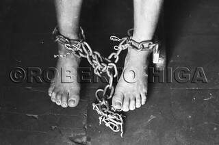 Foto capa do livro. Os pés acorrentados do menino no Guanandi. (Foto: Roberto Higa)
