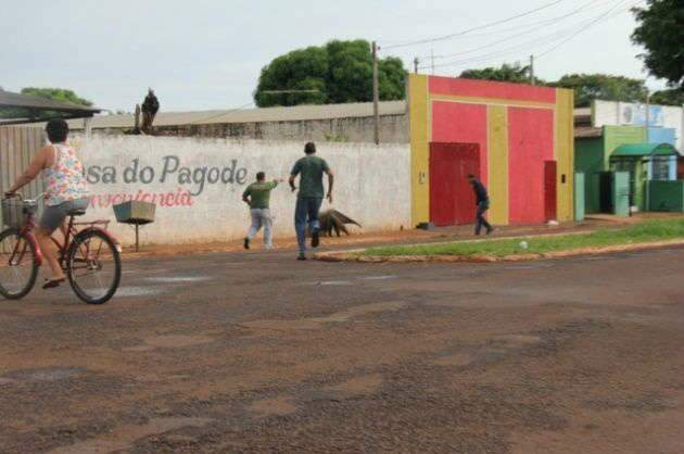  Tamandu&aacute; escondido em banheiro de Pra&ccedil;a mobiliza moradores