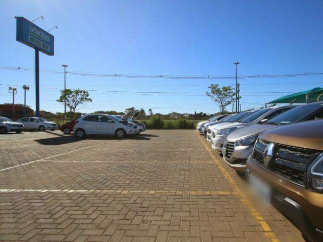 Entre lazer e neg&oacute;cios, aluguel de ve&iacute;culos tem ligeiro aumento