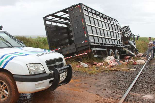 Quatro s&atilde;o presos por furtar novilhas mortas em colis&atilde;o de trem e caminh&atilde;o