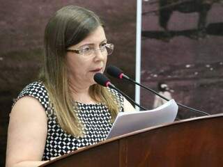 Lourdes Benaduce afirma que projeto enviado à Câmara não altera pagamento do piso (Foto: Divulgação)