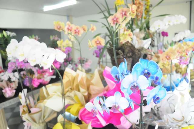 Desabastecido, com&eacute;rcio n&atilde;o tem flor nem para tristeza nem para alegria