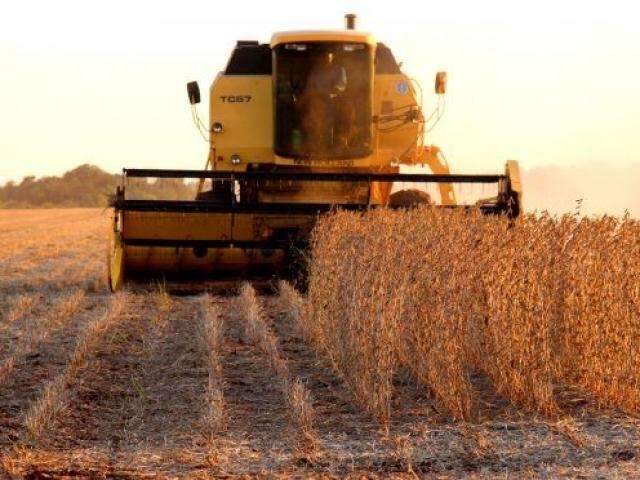 Vazio sanit&aacute;rio come&ccedil;a em MS e cultivo da soja volta s&oacute; em setembro 