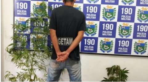Denúncia leva polícia a prender jovem que cultivava maconha em casa