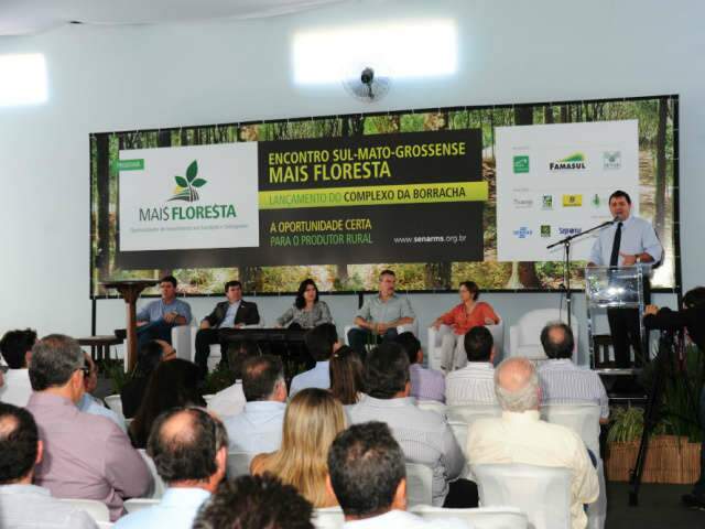  Complexo da Borracha &eacute; lan&ccedil;ado em MS prevendo plantar 20 milh&otilde;es de seringueiras