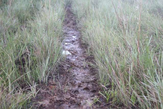 Aventureiros fazem trilha em &aacute;rea de preserva&ccedil;&atilde;o ambiental do Guariroba