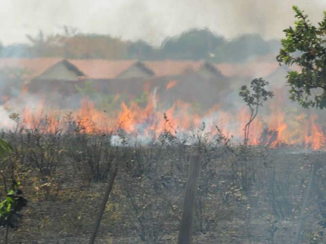  Fogo em matagal quase invade quintal de casas e assusta moradores do Tarum&atilde;