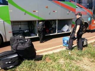 Policiais do DOF vasculham bagageiro de ônibus à procura de droga (Foto: Divulgação)