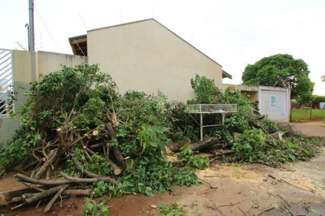 &Aacute;rvores caem em rede el&eacute;trica durante temporal e deixam vila sem energia 