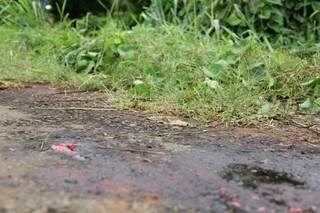 Marcas de sangue foram encontradas no local onde houve a confusão. (Foto: Marcos Ermínio) 