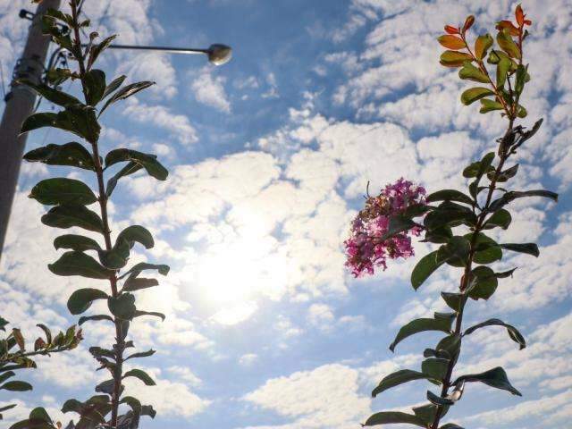 Feriado prolongado ser&aacute; de altas temperaturas e tempo seco em MS
