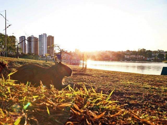 Domingo ser&aacute; de predom&iacute;nio de  sol e m&aacute;xima de 37&ordm;C no Estado