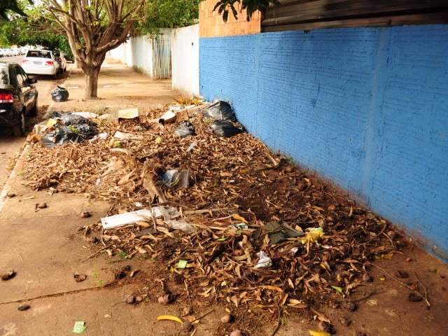 Moradores reclamam de sujeira na cal&ccedil;ada no bairro Nossa Senhora de F&aacute;tima