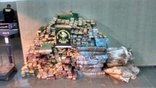 Montante de droga foi apreendida em operações do DOF na fronteira. (Foto: Divulgação DOF)
