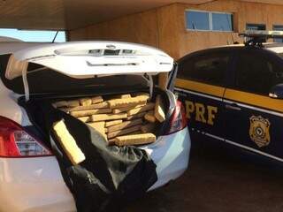 Usando CNH falsa, motorista &eacute; preso com 500 quilos de maconha na BR-463