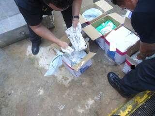 Tabletes de cocaína estavam escondidos em meio a massa corrida. (Foto: Divulgação/ DOF)