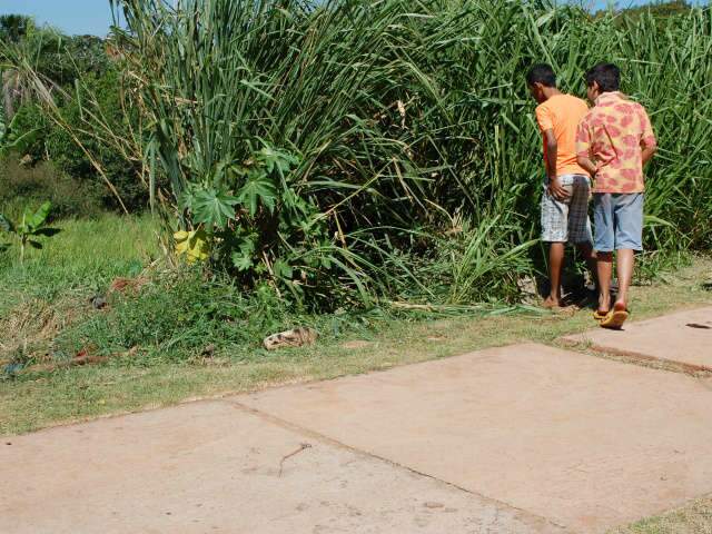  "Est&aacute; dificil viver", diz m&atilde;e de pai e filho mortos atropelados em ciclovia
