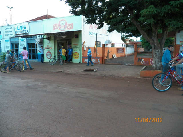  Ao averiguar den&uacute;ncia de posse de drogas, policial mata cadela a tiros