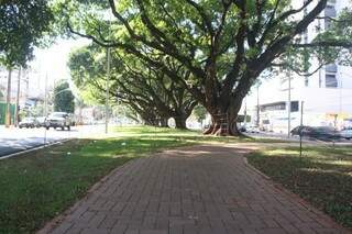 Bernal vai homologar tombamento da principal avenida de Campo Grande (Foto: Arquivo)