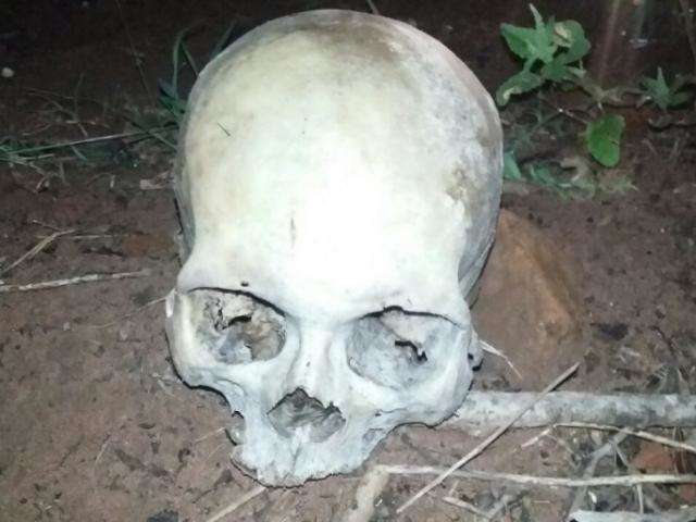 Cr&acirc;nio humano &eacute; encontrado em lavoura de mandioca e pol&iacute;cia investiga