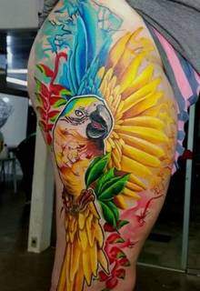 Tatuagem colorida bem sul-mato-grossense. 